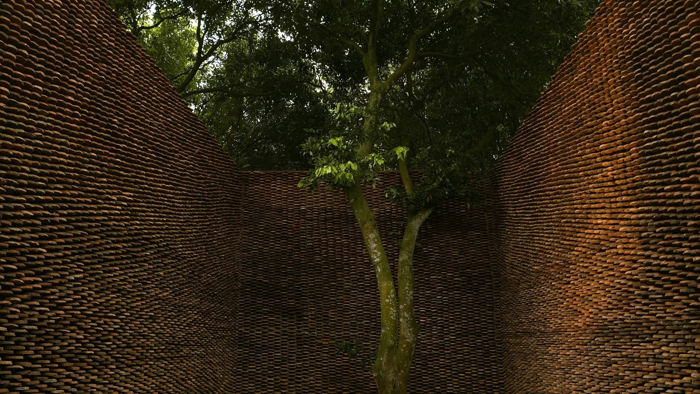 Dao Mau Museum & Temple — still 1