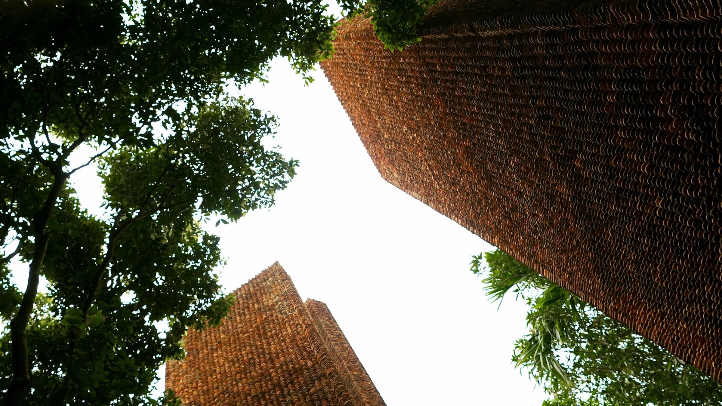 Dao Mau Museum & Temple — still 2